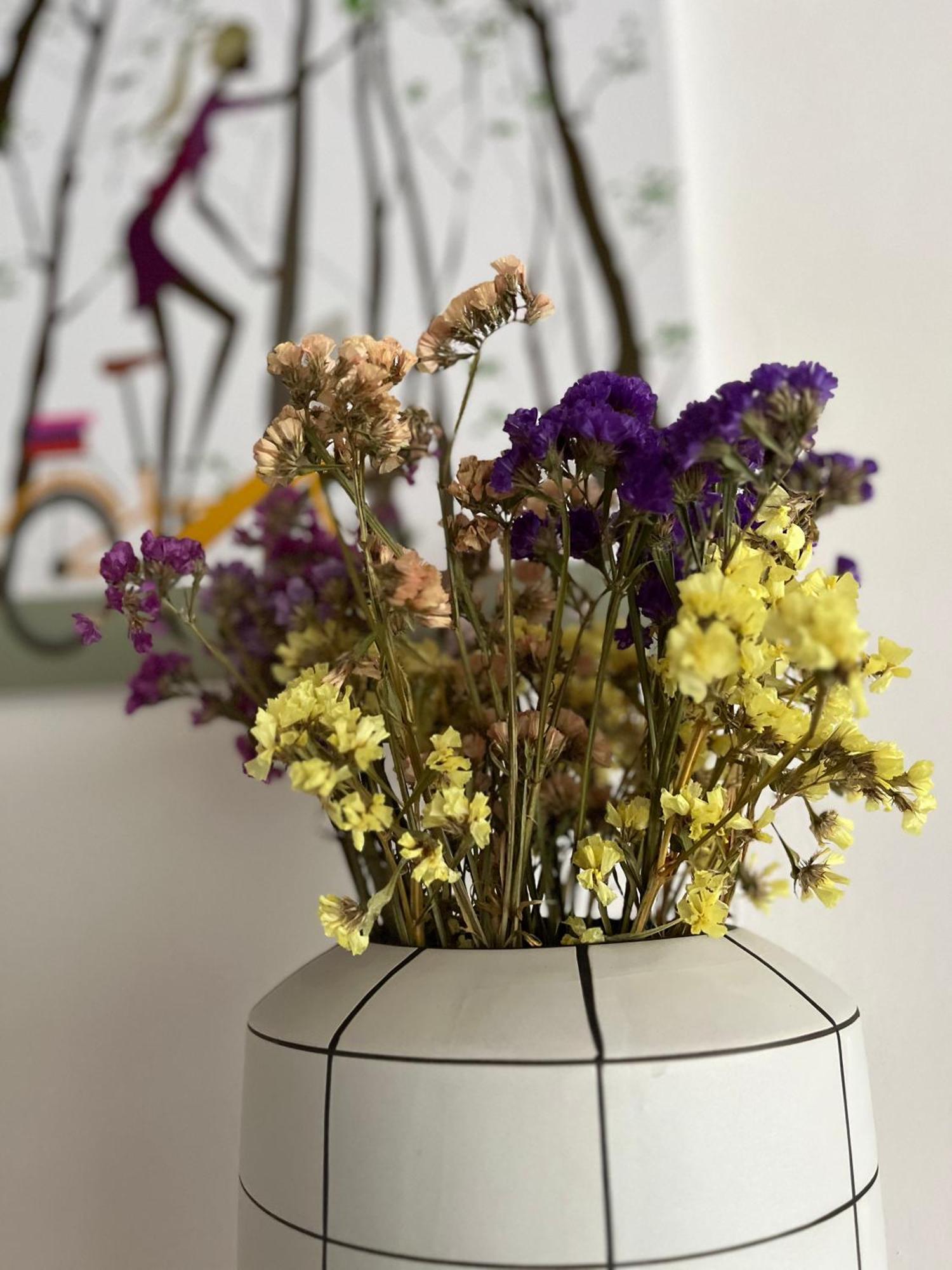 Silva Frontemare 2* Lido di Jesolo